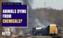 NTD News Today (February 14): Ohioans Warn Animals Dying After Chemical Burn; Nikki Haley Announces 2024 Presidential Bid