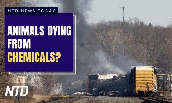 NTD News Today (Feb. 14): Ohioans Warn Animals Dying After Chemical Burn; Nikki Haley Announces 2024 Presidential Bid