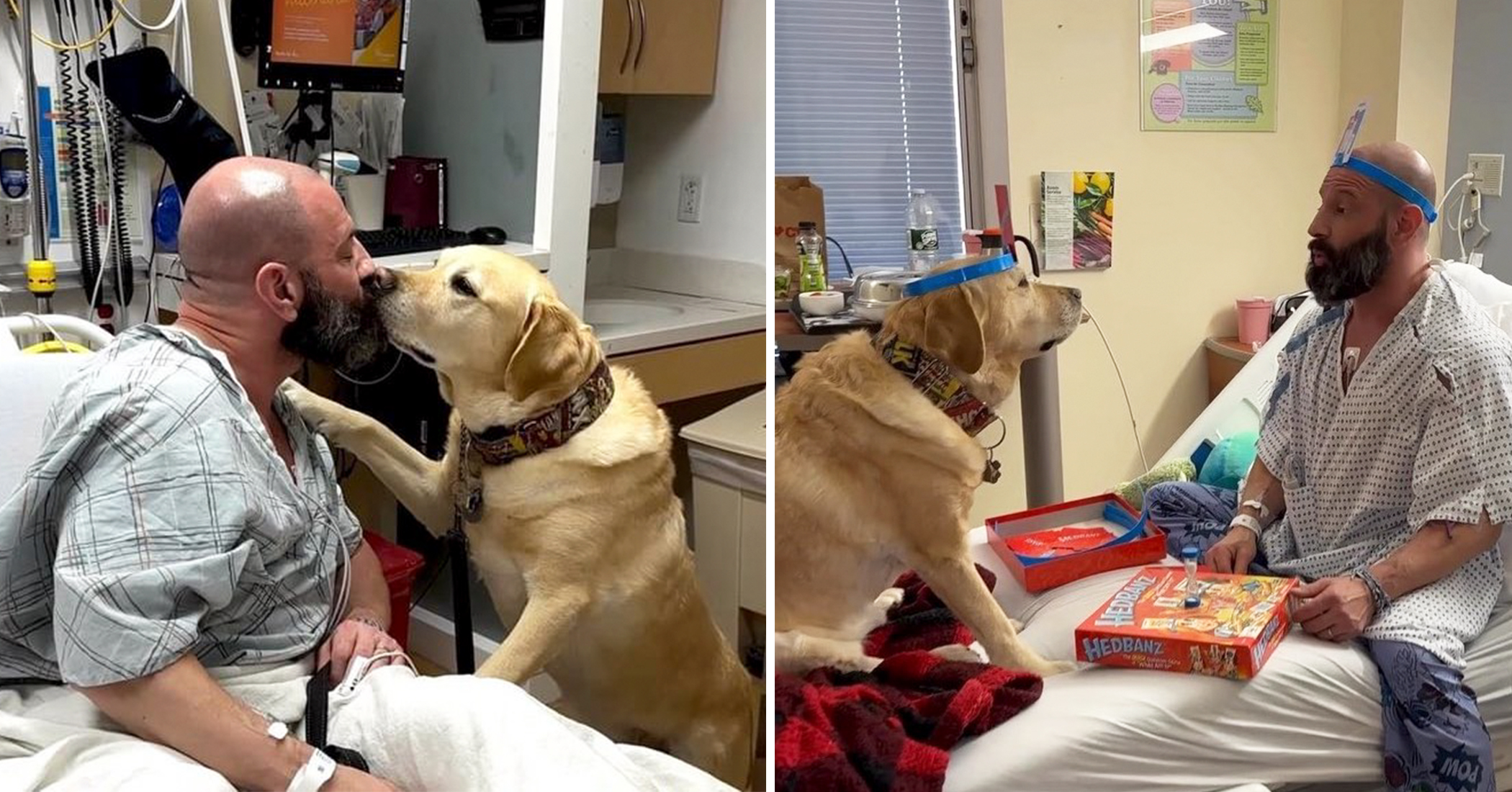 NextImg:VIDEO: Service dog who can 'read people' lifts up owner hospitalized with serious heart condition