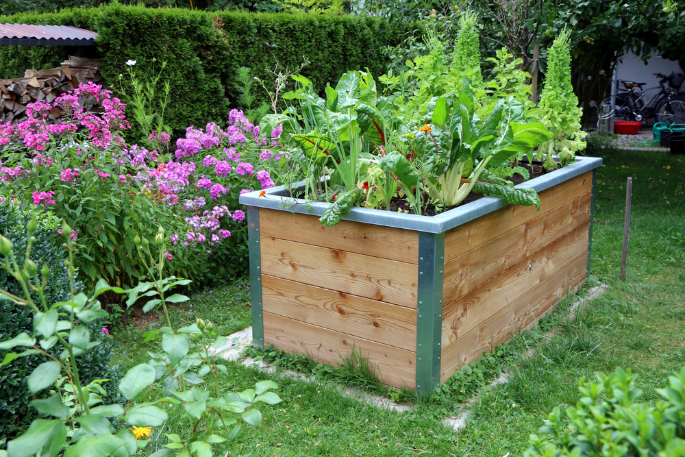 NextImg:A Case for Raised Bed Gardening