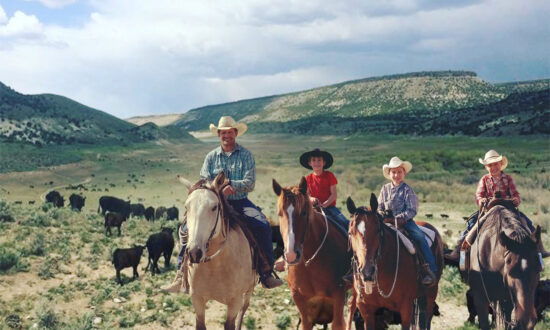 Ranchers Since 1878: Family With Over ﻿100,000 Acres Say They’ll Pass It on Intact to One of the Kids