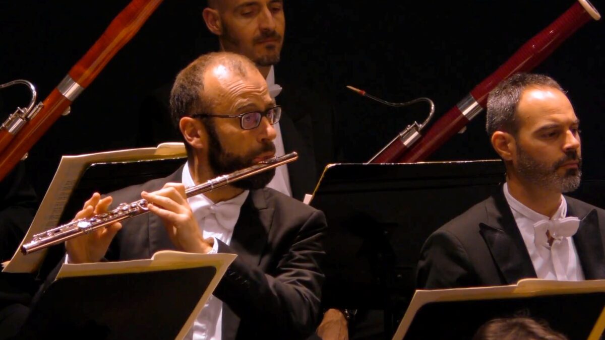 NextImg:Franz Joseph Haydn: Symphony No. 102 in B Flat Major (1794)