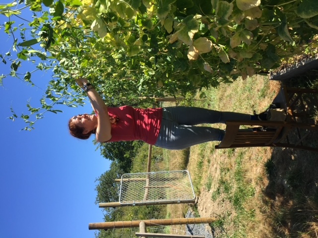 Nicole picking peas