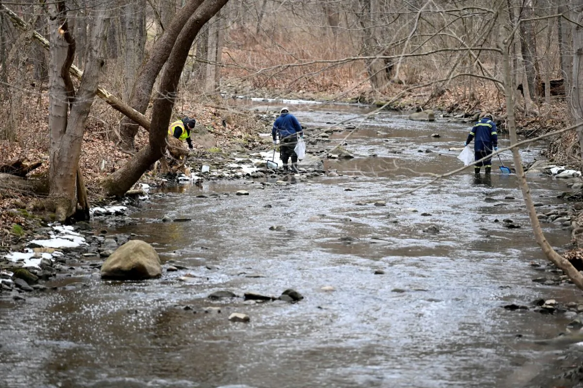 An environmental company is removing dead fish downstream from the site of the train derailment that forced people to be evacuated from their homes in East Palestine, Ohio, on Feb. 6, 2023. (Alan Freed/Reuters)
