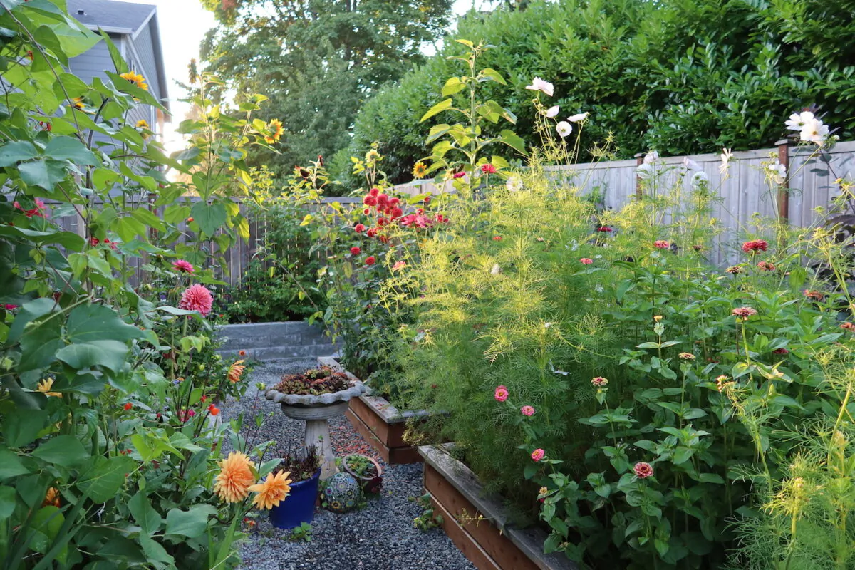 a-case-for-raised-bed-gardening