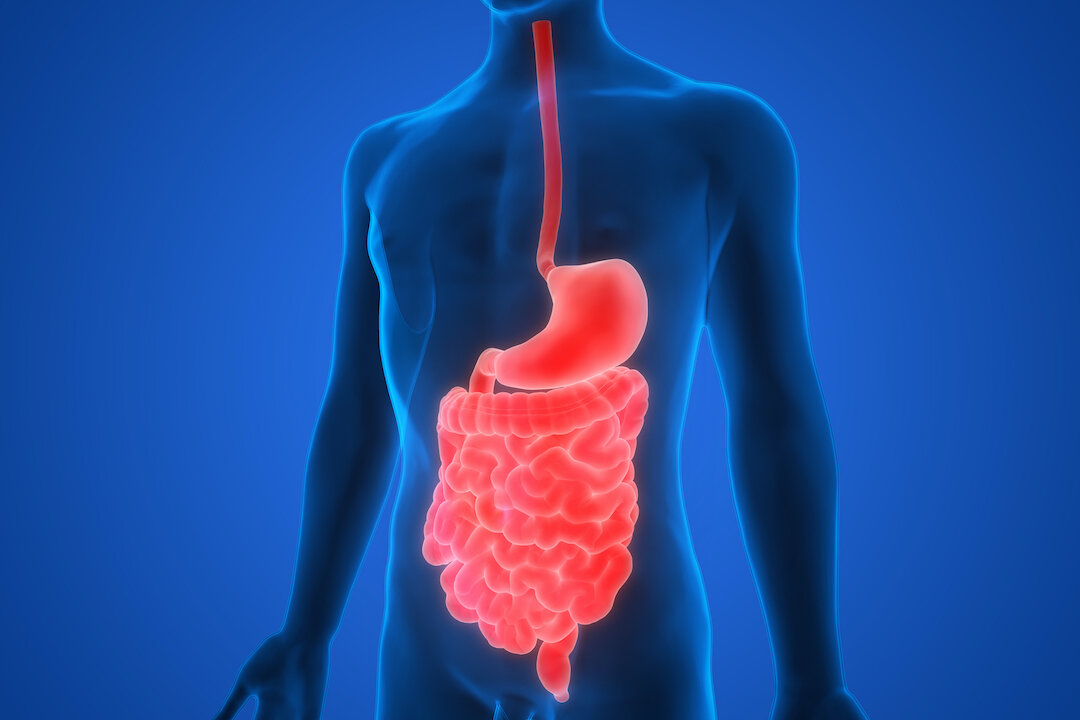 A Simple, Free Way to Heal Your Gut—With No Side Effects