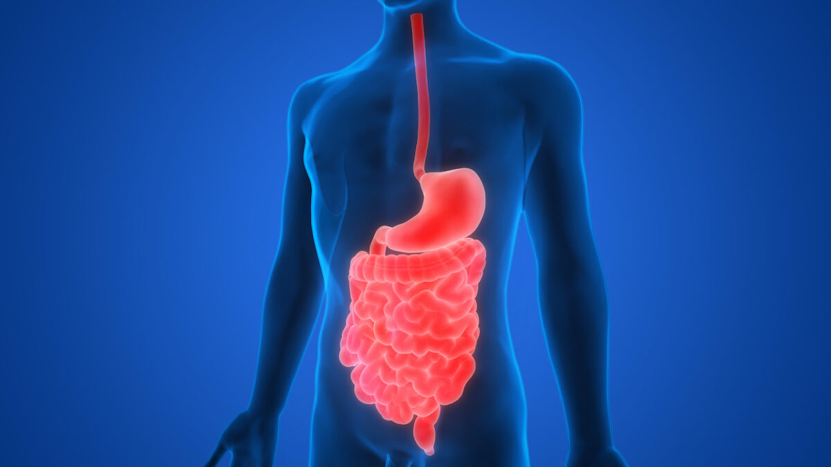 NextImg:A Simple, Free Way to Heal Your Gut—With No Side Effects