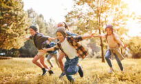 The Biophilia Hypothesis: Are We Hardwired to Be Cured by Nature?