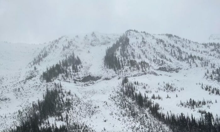 Widespread Avalanche Warning Issued Across British Columbia and Alberta