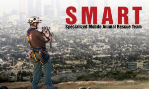 SMART: Specialized Mobile Animal Rescue Team | Documentary