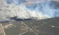 Queensland Town Saved but Bushfire Heartache Continues for Others