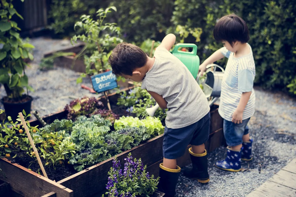 Community members of all ages can reap the benefits of working in a community garden. (Rawpixel.com/Shutterstock)
