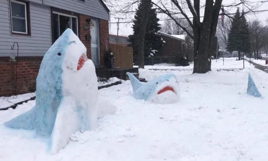 Michigan Art Teacher Creates Incredible Front Yard ‘Snow Sharks’ That Go Viral (Photos)
