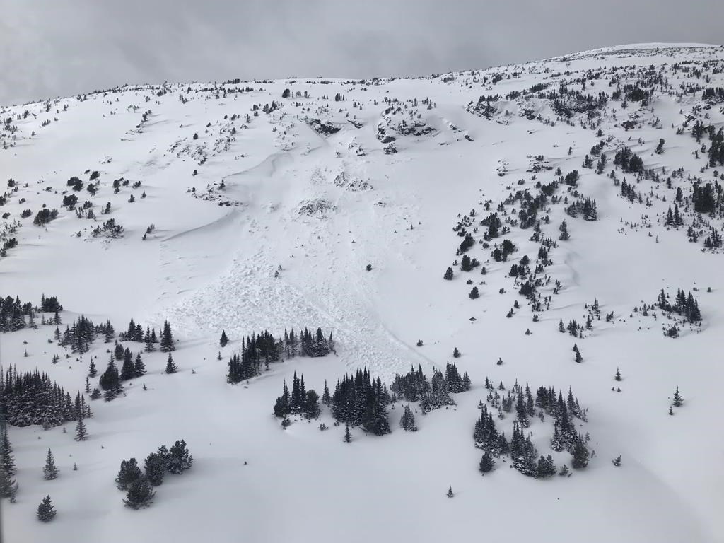 NextImg:Volunteer's Death Spurs Warnings That BC's Avalanche Conditions Are 'Unforgiving'