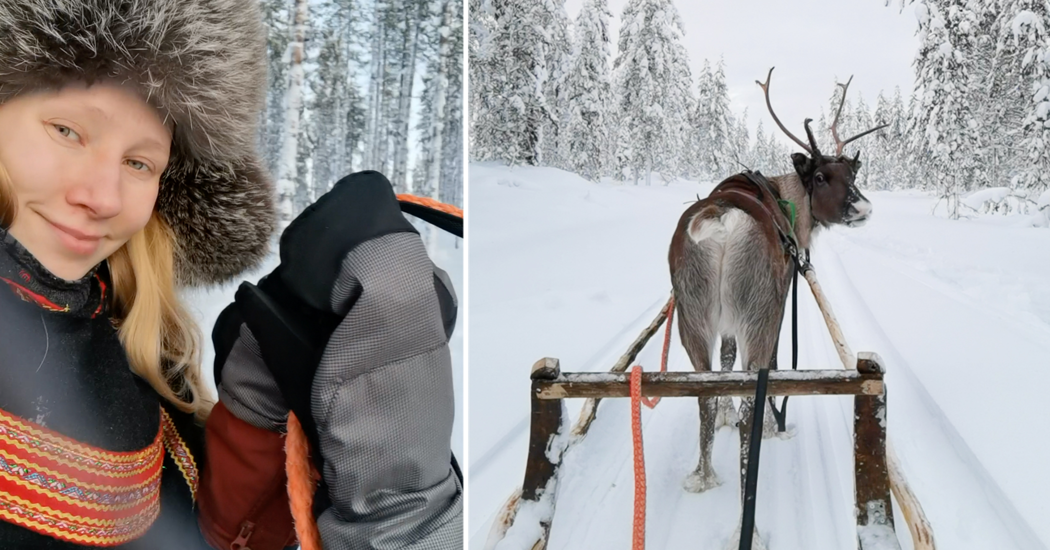 NextImg:Woman from Finland quits her job at a restaurant after an injury, becomes a reindeer herder