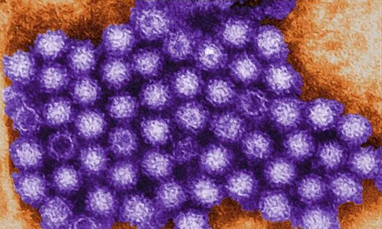 CDC Data: Norovirus Cases on the Rise in the US, Namely the Northeast