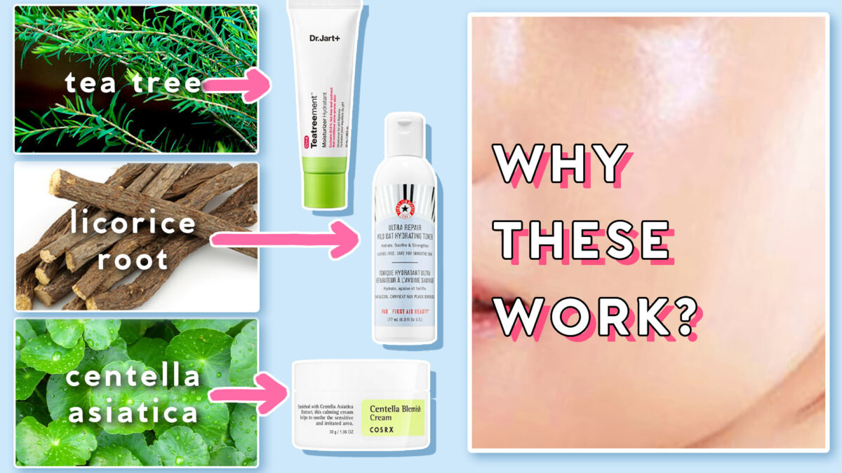 NextImg:4 Ingredients for Oil Control, Brightening, Hyperpigmentation, & Soothing: For All Skin Types!