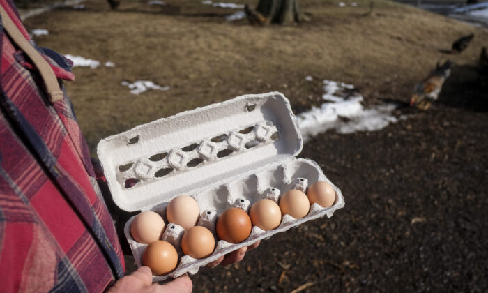 What's Really Behind the Egg Shortage?