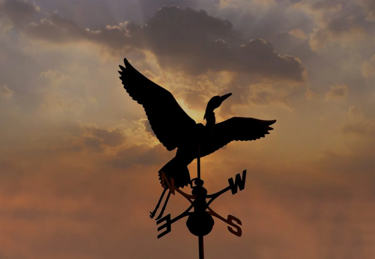You’ll find a wide variety of weather vanes in home accessory catalogs, home and garden centers and online.