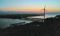 If Government Wants More ‘Clean Energy,’ It Needs to Cut Red Tape: Report