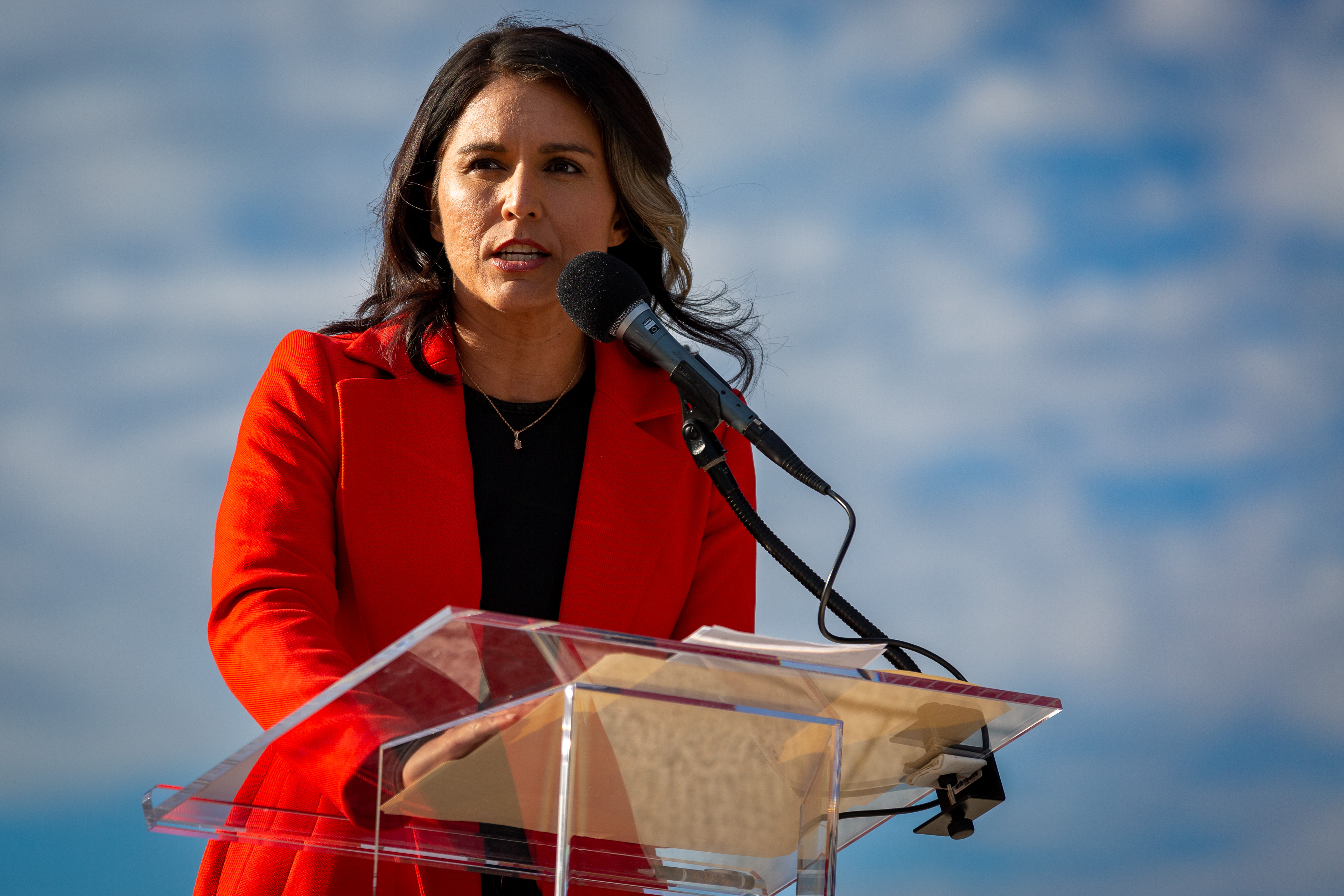 Tulsi Gabbard, Jimmy Dore, Ron Paul Call for End to Ukraine War - Vimarsana News