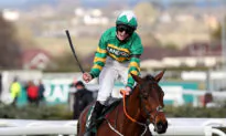Historic Grand National Winner Minella Times Retired