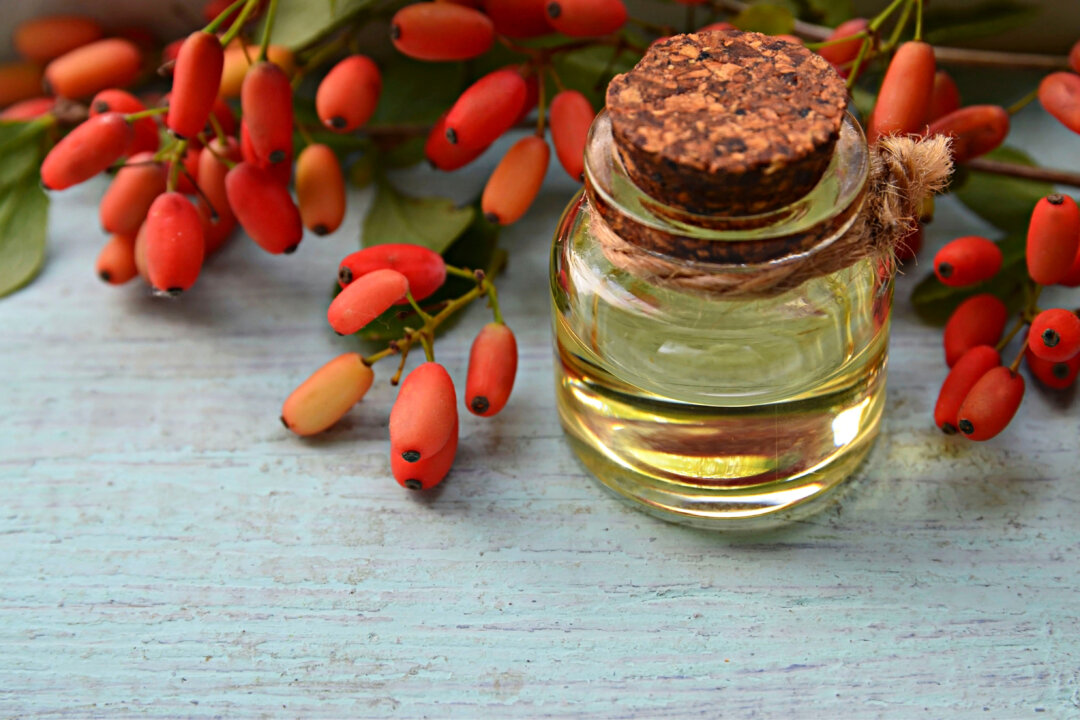 As Berberine is derived from plants, it is considered a nutraceutical. (svf74/Shutterstock)