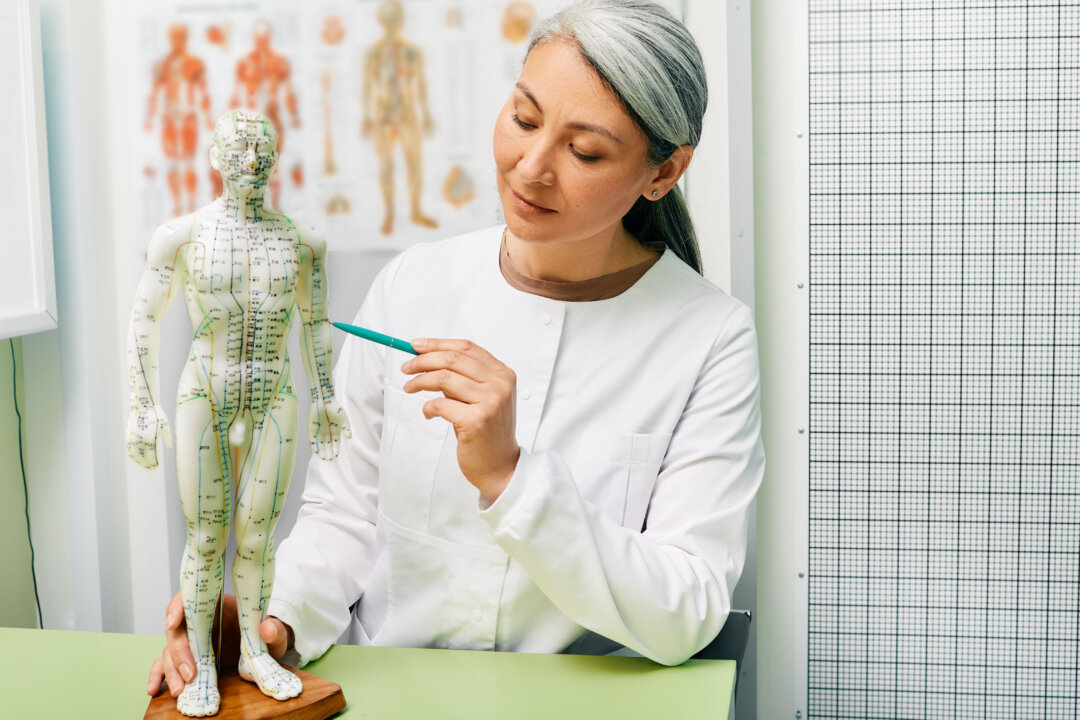 Understanding the ‘Meridians’ in Traditional Chinese Medicine