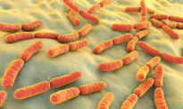 Can We Treat Long COVID With Bacteria?