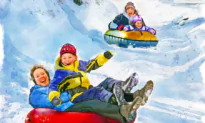 7 Easy Ways to Have More Fun