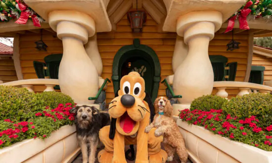 Disneyland Postpones Reopening of Mickey’s Toontown