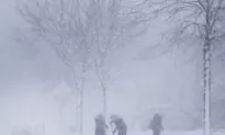 Winter Storm Descends Over Southern Ontario, Snow and Freezing Rain Forecasted