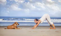 The Real Reason Downward-Facing Dog Is so Good for You