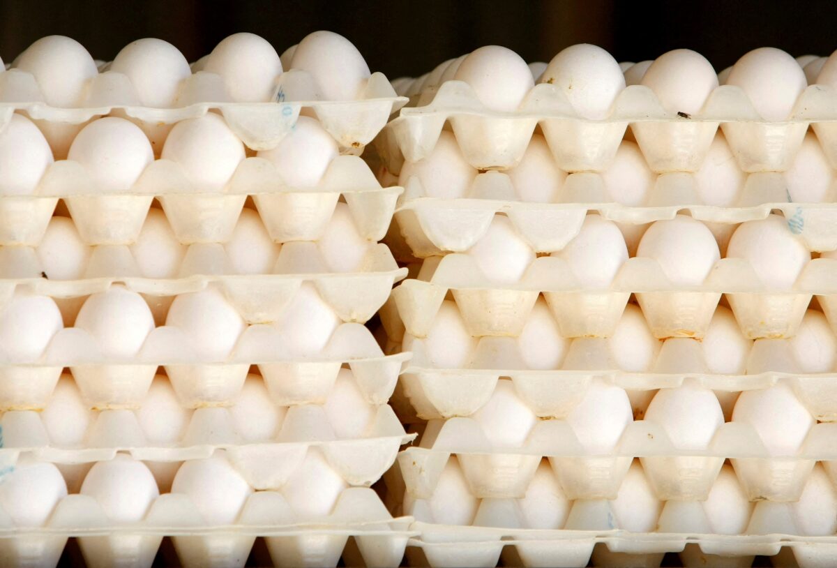 NextImg:Egg Prices Will Fall Nearly 30 Percent This Year, US Farm Agency Says
