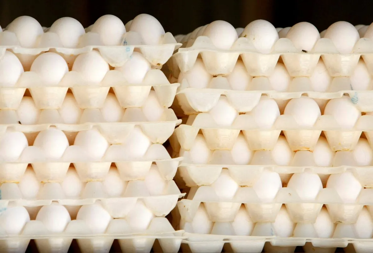 Some of the thousands of eggs produced each day by caged hens are stacked up at an egg farm in San Diego County on July 29, 2008. (Mike Blake/Reuters)