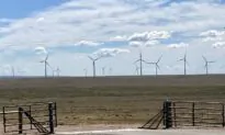 Senators Question Federal Lands Chief on How Idaho Wind Farm Got OK Despite Local Objections