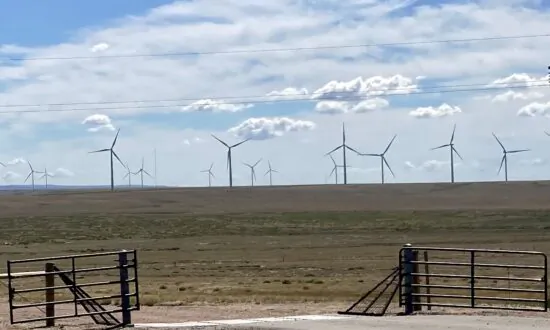 Senators Question Federal Lands Chief on How Idaho Wind Farm Got OK Over Local Objections