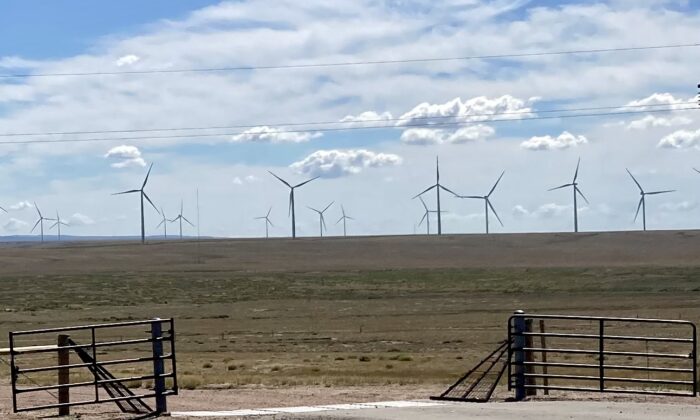 IN-DEPTH: 'Beyond Belief': Industrial Wind Developments Could Threaten Fragile Desert Ecosystem