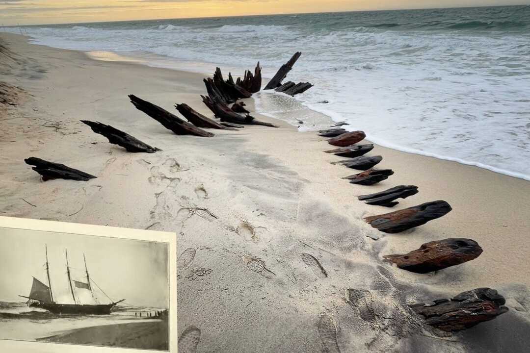Maritime Archeologists Find Skeletal Remains of Ship From 1800s ...