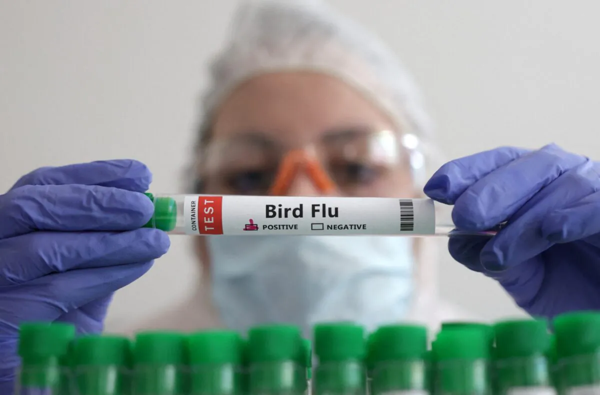 A person holds a test tube labelled "Bird Flu" in a picture illustration on Jan. 14, 2023. (Dado Ruvic/Reuters)
