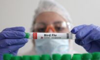 Run for Your Lives: It’s the Bird Flu