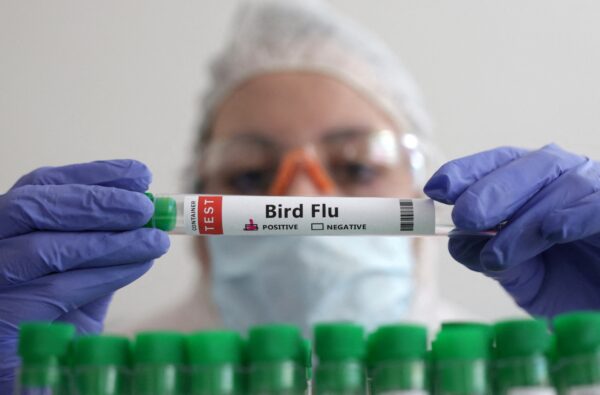 Bird Flu Virus Mutations Discovered in First Severe Human Case in US, CDC Says