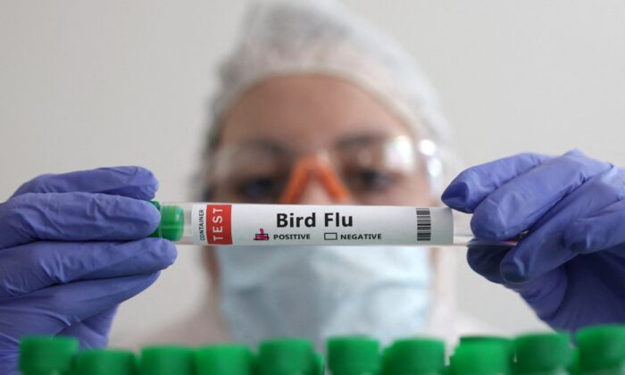 US Contracts With Biotech Firm to Produce Bird Flu Vaccines | The Epoch ...