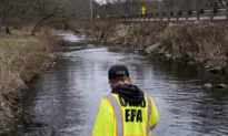 Officials Release Update on Wildlife Killed by Ohio Train Derailment
