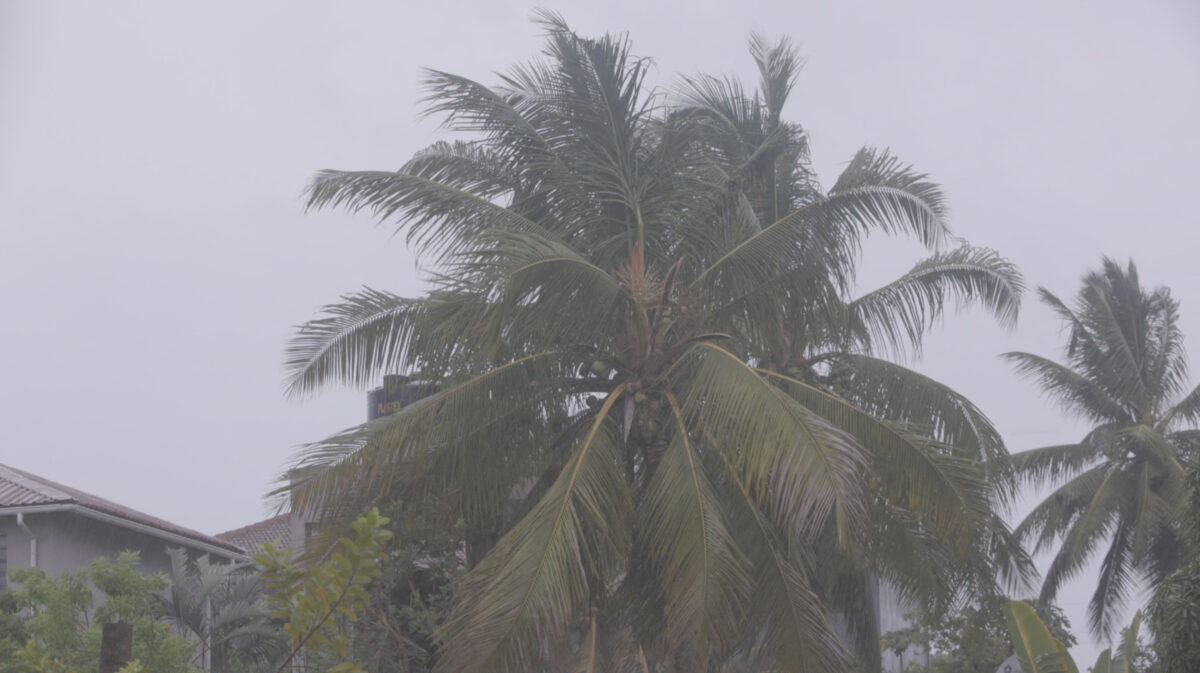 NextImg:Mozambicans Seek Shelter as Storm Freddy Makes Landfall