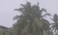 Mozambicans Seek Shelter as Storm Freddy Makes Landfall