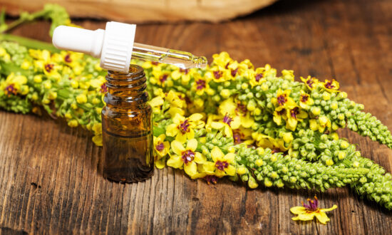 The Ancient Herb That Clears Lungs and Soothes Irritated Throats