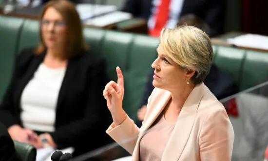 Greens Call for More Government Transparency