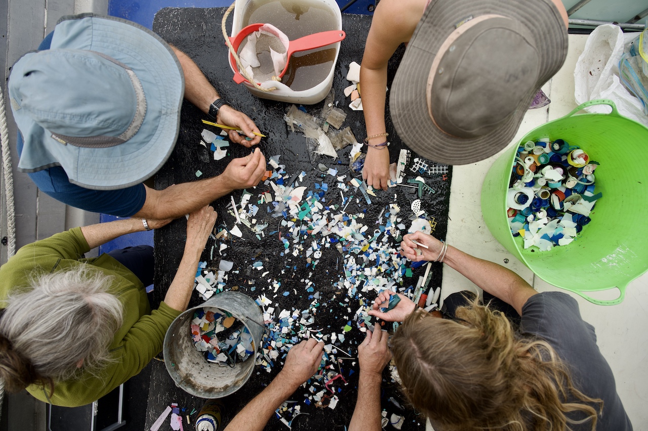 Clean-Up Find 50,000 Bits of Rubbish in Australian State Wilderness - Vimarsana News