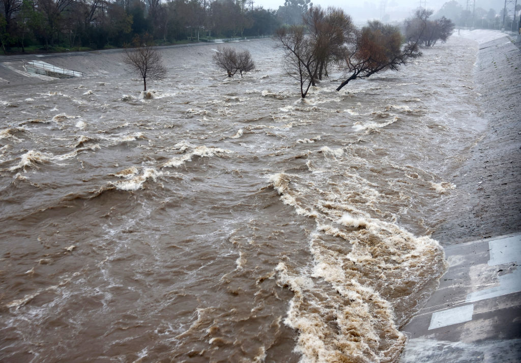 NextImg:4 Homeless People, 5 Animals Rescued From Flood Near Sepulveda Basin